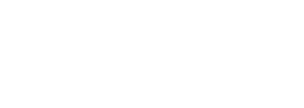Meta Business Partners