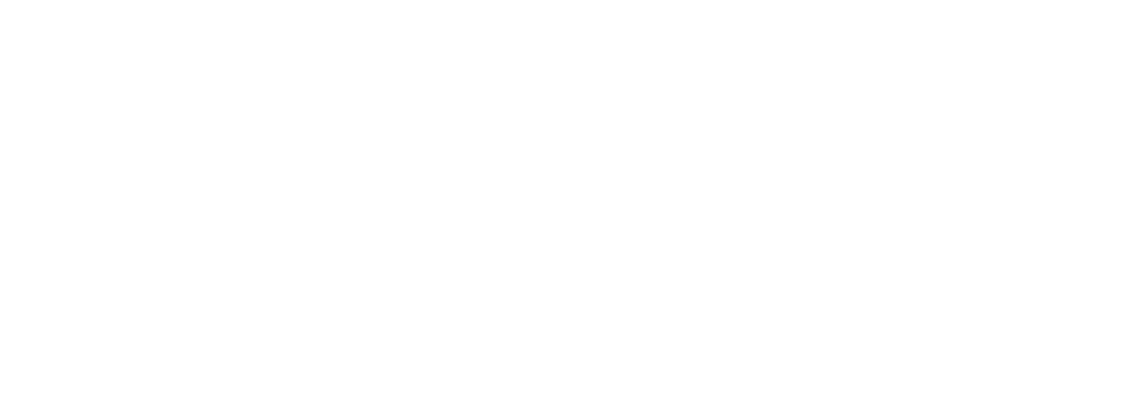 Shopify Partners